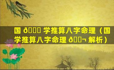 国 🐋 学推算八字命理（国学推算八字命理 🐬 解析）